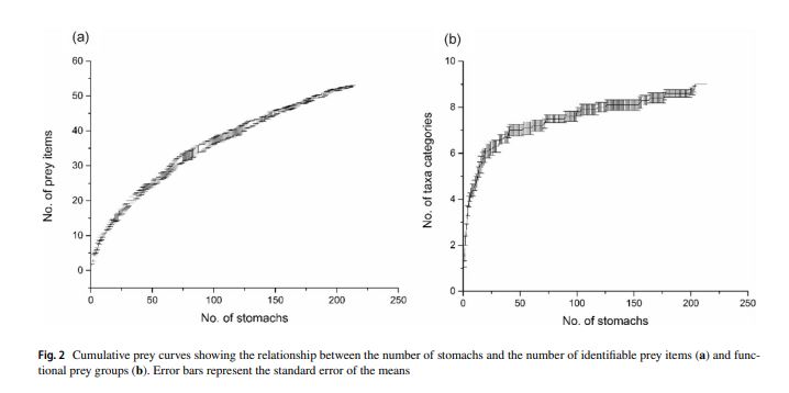 🚨 𝗡𝗘𝗪 𝗣𝗔𝗣𝗘𝗥 🚨 New #sharkscience on the copper shark (C. brachyurus) in South Australian waters in @Mar_Biology 👇 Stomach content & multi-tissue stable isotope approach was used to investigate C. brachyurus feeding ecology 🦈🐟🦑 Paper here ➡️ doi.org/10.1007/s00227…