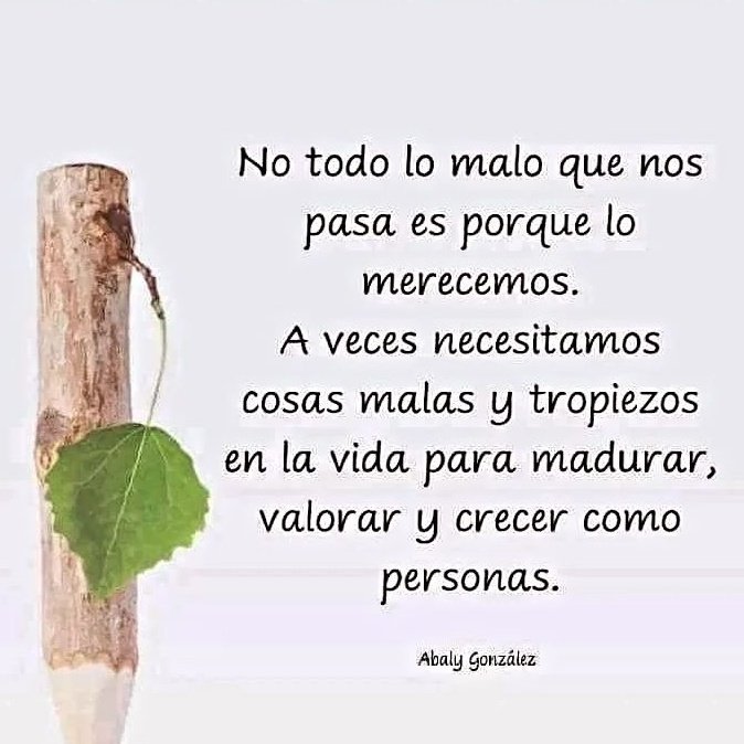 Claudia Hernández (@claudia29hdz) on Twitter photo 