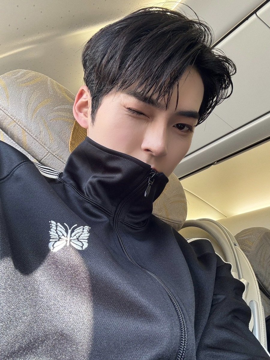 비행기 셀카 미쳤다