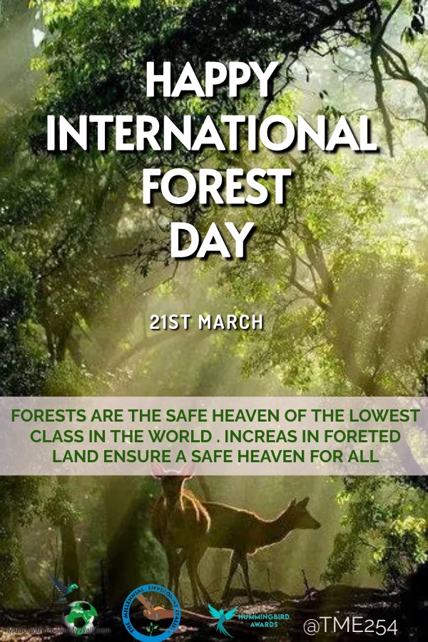 TME_254's tweet photo. Happy International Day of Forests. Day we emulate the hummingbird by standing strong to protect our forest from all forms of enemies. Plant a seed, to strengthen our forest. https://t.co/8ZxZjqXa1D
#beahummingbird
#hummingbirdawards https://t.co/wj4NtVbMgP