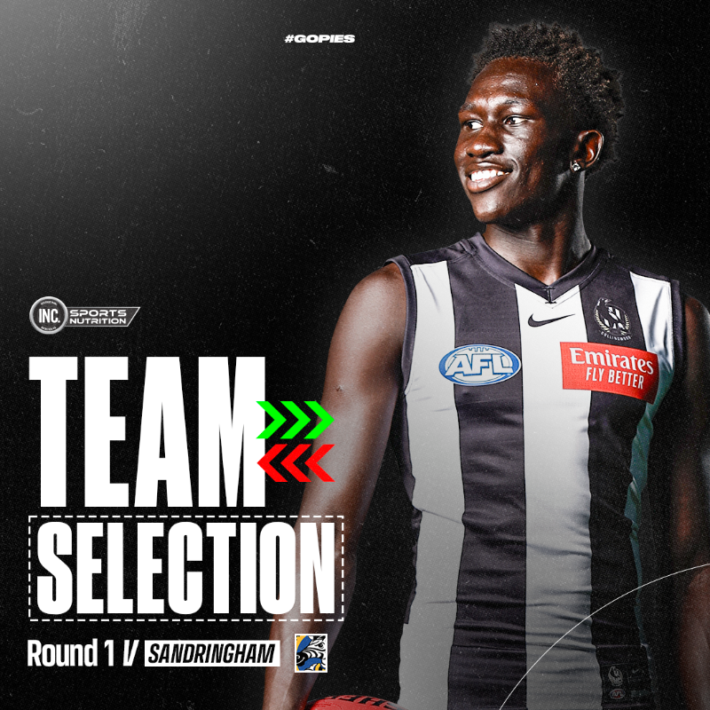 CollingwoodVFL's tweet photo. NINE players will take the field for their Club debuts in tomorrow's opening game of the season 🤩

Our first team of 2024 is in: https://t.co/JGgsGJij3m
