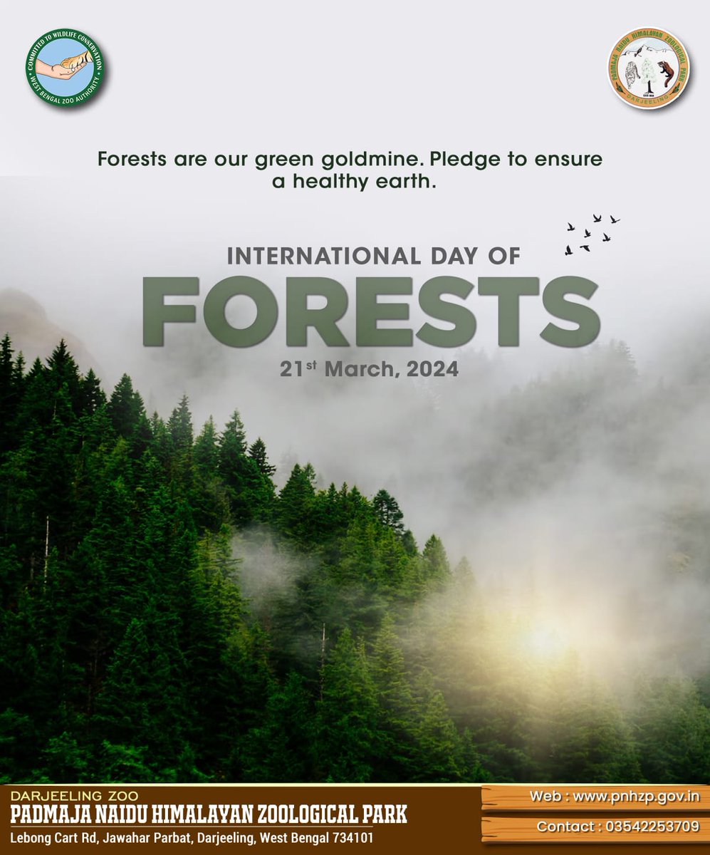 #internationaldayofforests celebrates the vital role of forests in maintaining ecological balance, supporting biodiversity, and providing essential services for humanity. #pnhzp #darjeeling #research #education #conservation #cza_delhi #moefccgoi
