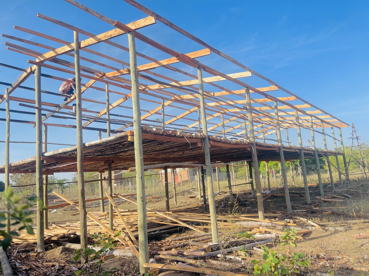 Our 2000 🐓 house 🏠 update. Now on the roofing ✅.