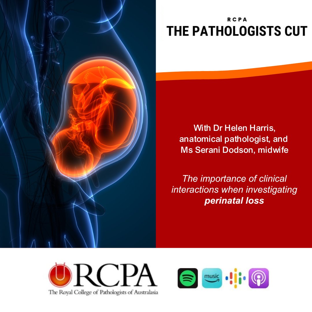 In The Pathologists Cut, @RCPAPresident A/Prof Trishe Leong speaks to #pathologist Dr Helen Harris and midwife Ms Serani Dodson about #PerinatalPathology and why diversity of clinical interactions is vital when investigating a perinatal death. ➡️  rcpa.me/RCPAPodcast