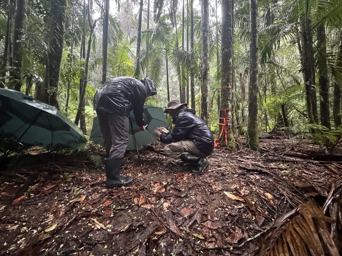 Dr. Luke Jeffrey tweet media