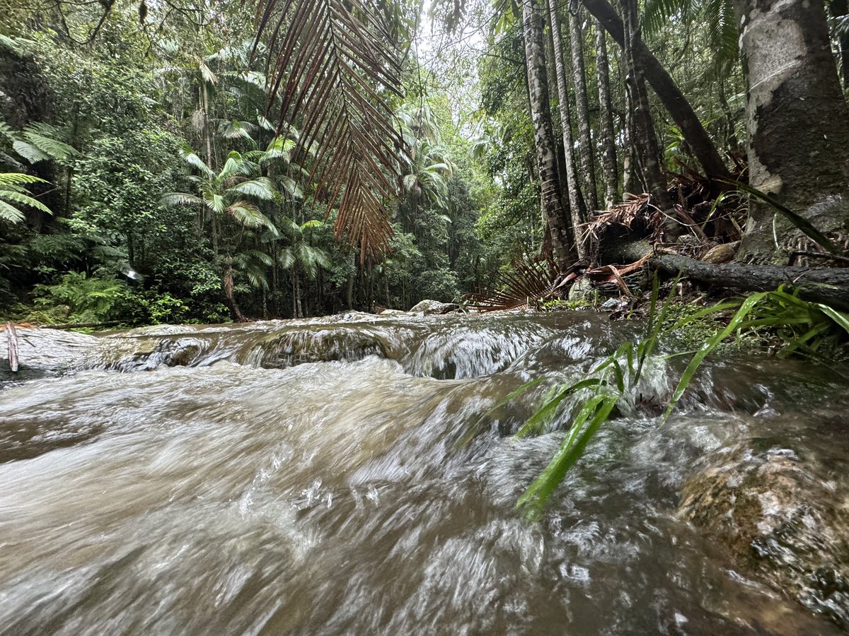 Dr. Luke Jeffrey tweet media