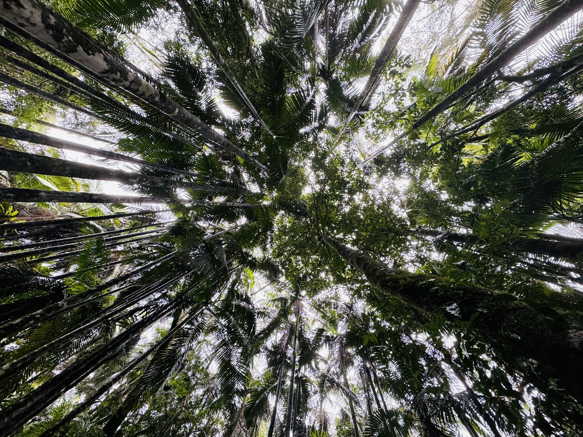 Dr. Luke Jeffrey tweet media