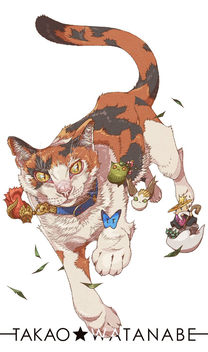 「『メボシと遊ぶ』目の周りに星マークのある猫「メボシ」ちゃん。今日のコケダマちゃん」|渡辺孝夫のイラスト