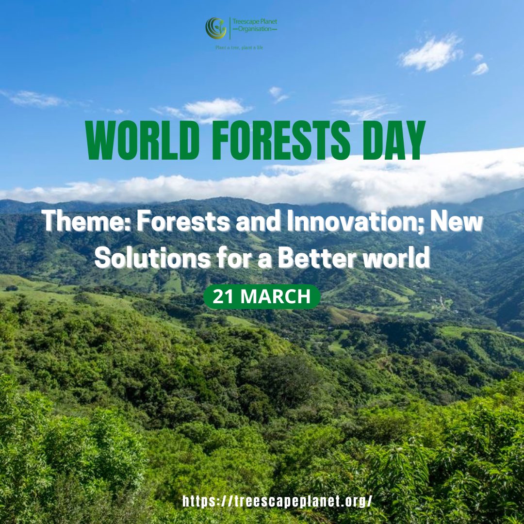 Happy #ForestsDay!🌍🌳 
Let's celebrate forests' diversity and importance worldwide. ‘Forests and Innovation’ spotlight how innovation is vital for sustainable forest management. Let's unite to protect, conserve, and restore our forests for future generations!
#SustainableFuture
