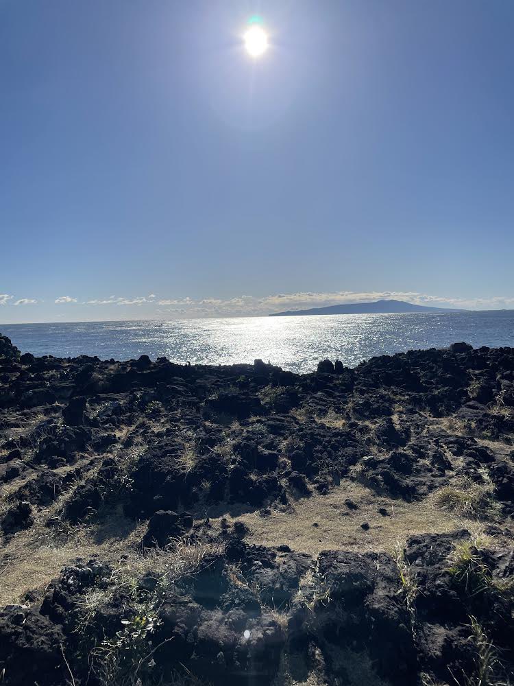 Sakura Sessions tweet media