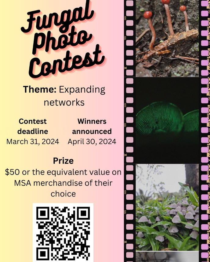 MSAStudents's tweet photo. ⏰⏰⏰🍄Just 11 days left!🍄⏰⏰⏰

Don't miss your opportunity! 

Share your designs and photos with us now!

Deadline: March 31, 2024

Art🎨
https://t.co/DAzcoSJaH4

Photo 📷
https://t.co/Y73pHsY1A1 https://t.co/g8N7CIdeXo