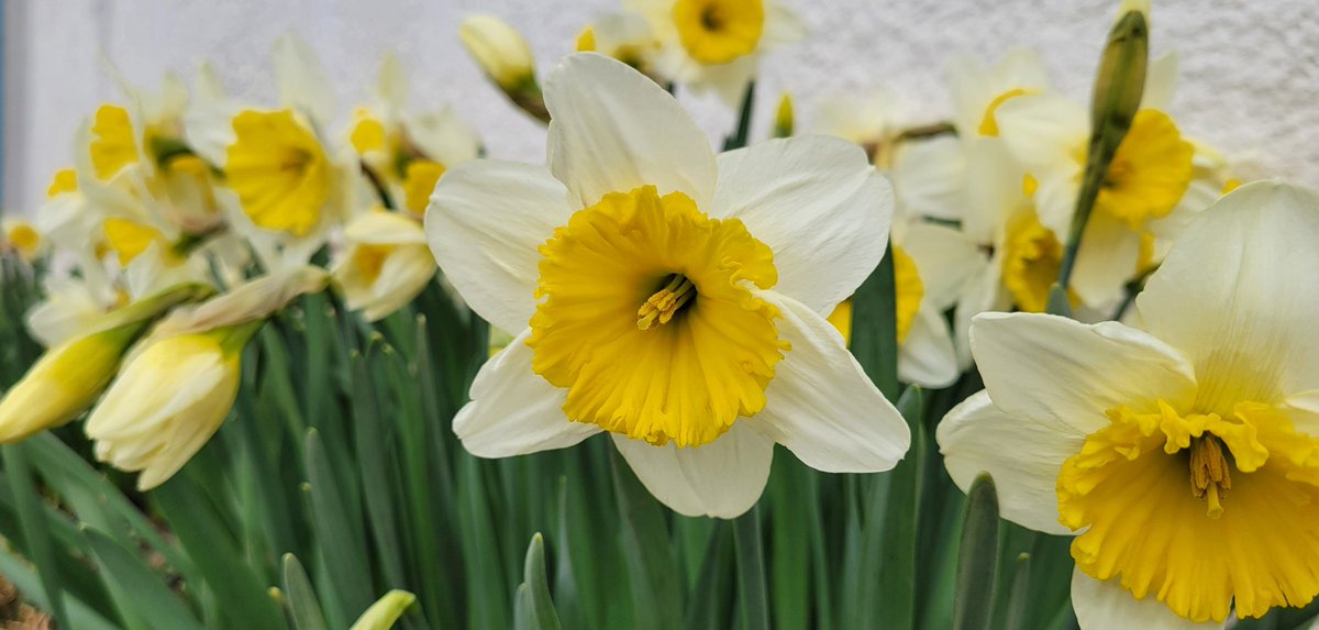 Spring has officially arrived in #Kamloops