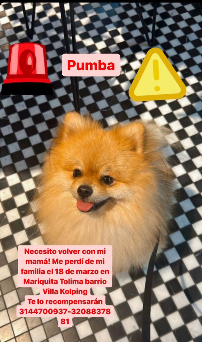 valentinabelt16's tweet photo. Ayúdenme 🚨‼️🚨repost please
Se robaron a mi compañero el 18 de marzo (antier en la tarde) en Mariquita Tolima en el barrio Villa Kolping
E https://t.co/YLknbTkYMV