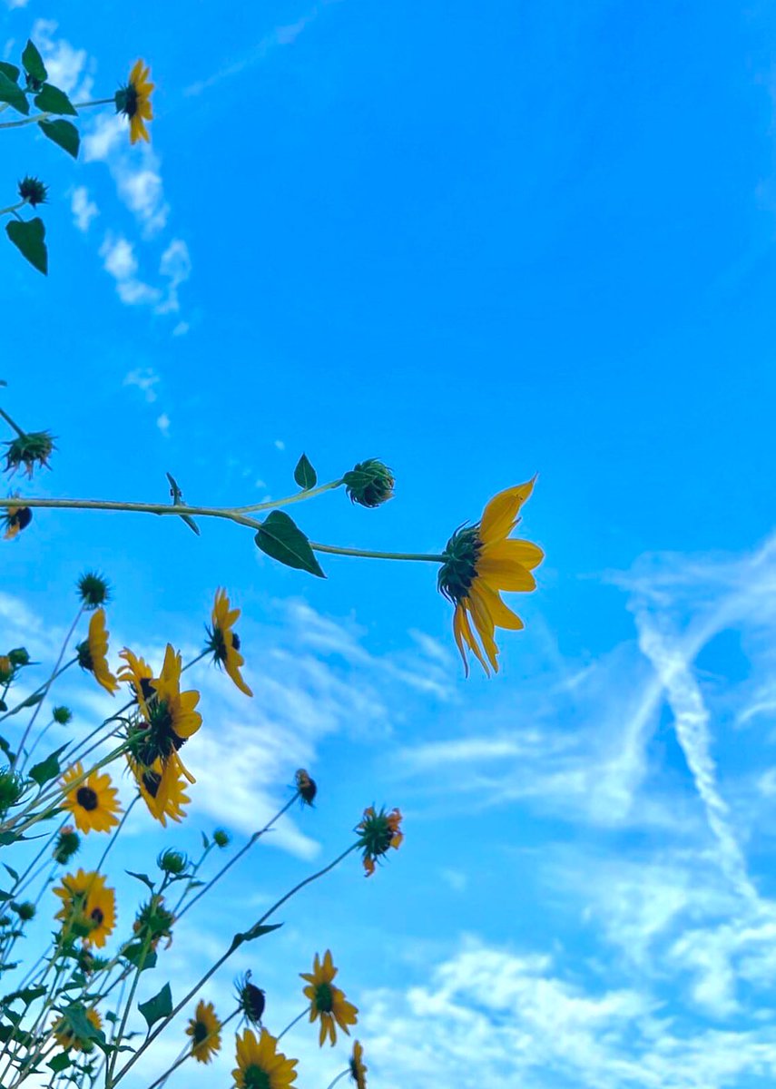 ถ้าคุณเดินออกมาจากอะไรสักอย่าง แล้วชีวิตคุณมีความสุขขึ้น แปลว่าคุณเลือกถูกแล้ว