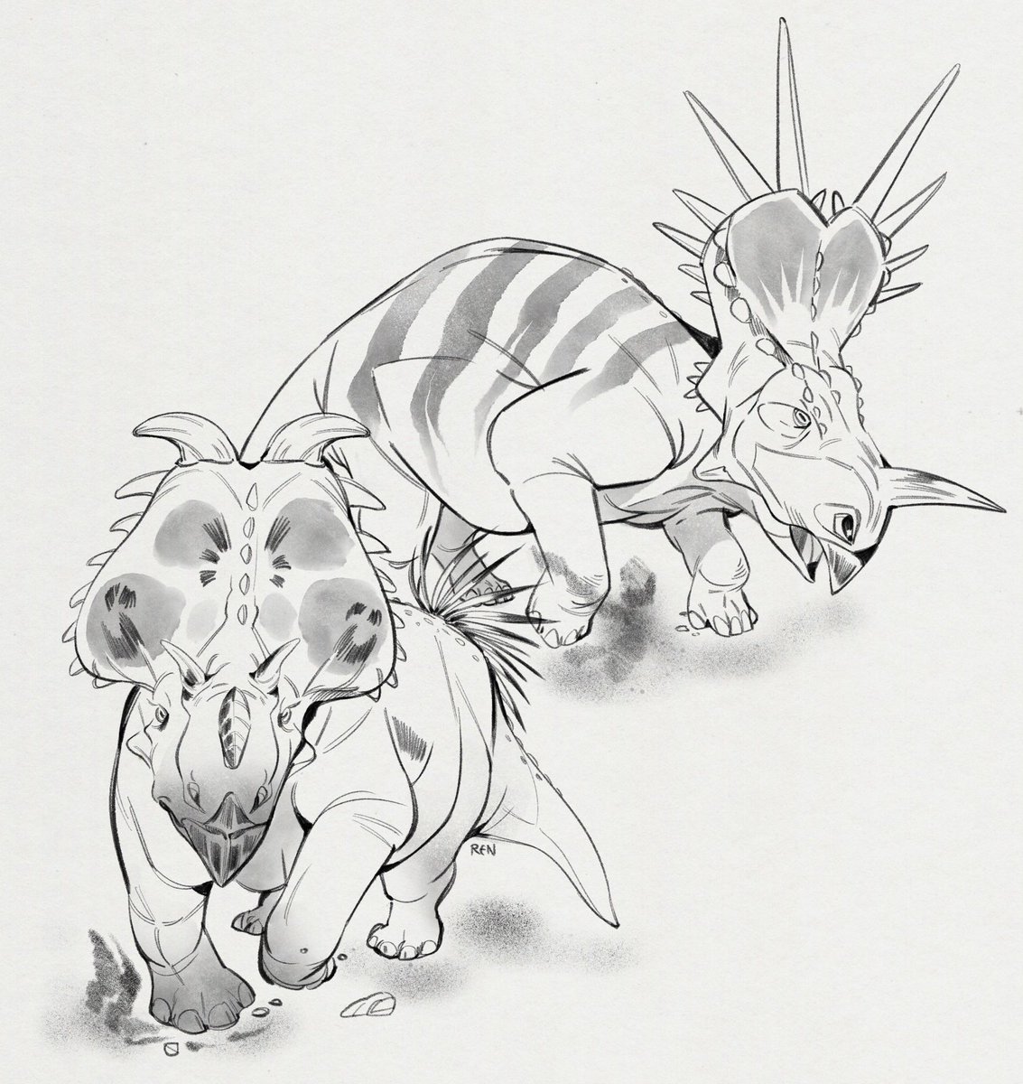 Some grumpy Ceratopsid sketches… at least they always seem to be a little grumpy in Path of Titans 
