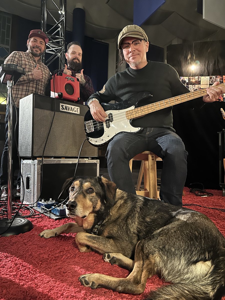 alexhfoster's tweet photo. I DIDN’T REMEMBER, BUT I USED TO BE A BASS PLAYER!?!
→ https://t.co/6sizyczjsB
#StudioDiary #MusingSounds https://t.co/CxJZcu2iud