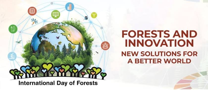 Forests and innovation is the current year theme of IDF 2024…new solutions for a better world 👍