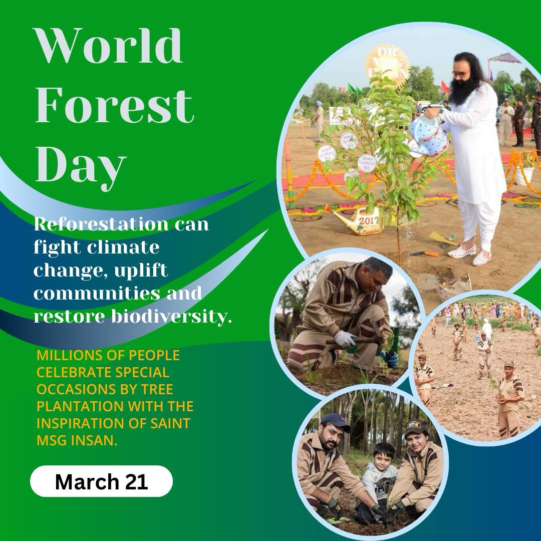 Forest conservation is very important for every species.Following the inspiration of Saint MSG Insan,the followers of Dera Sacha Sauda Sirsa plant trees on special occasions so that the earth remains green. #WorldForestDay #InternationalDayOfForest