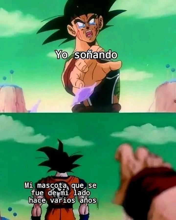 Mega atún (@abellcymeg) on Twitter photo 
