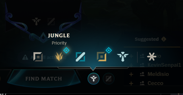 i never thought i would ever see the day where support wasn't a priority role (I chose to main support because it was the least popular role)