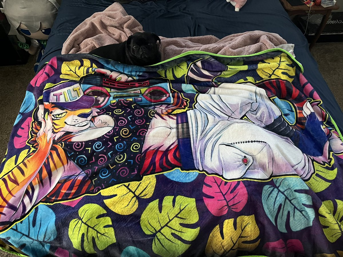 Nigel approves of my new @DeadBombArt blanket.