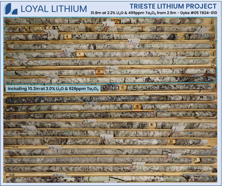 Loyal Metals tweet media