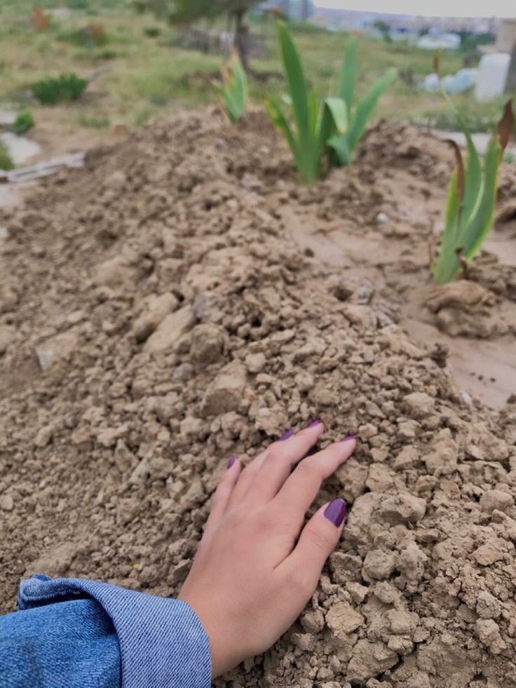 💔🥀 

رضي الله عن امي بقدر رمال الأرض .. بقدر كل ثقل ساندتني على حمله .. بقدر كل مواساة اطفأت بها نار أوجاعي .. بقدر كل قطرة من بلسم سكبتها على جراحي  .. بقدر كل المٍ وكل آهٍ بعدها .. ربي ارضى عنها واجمعني بها في فسيح جناتك 🤲
#يوم_الام
#رمضان  #صباح_الخير