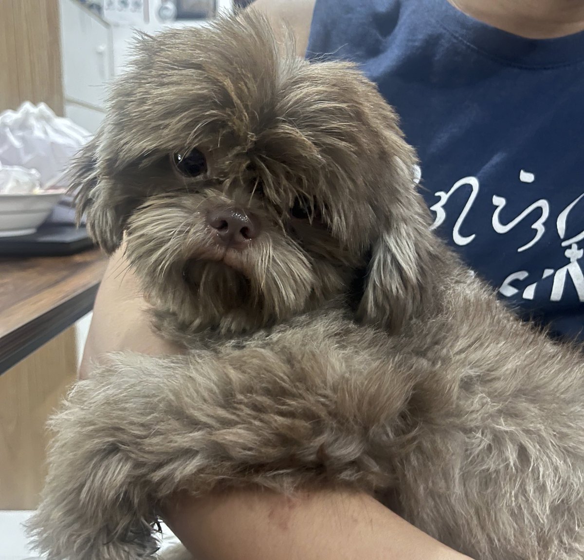 𝒞𝑜𝒹𝓎 (𝒯𝒶𝓎𝓁𝑜𝓇’𝓈 𝒱𝑒𝓇𝓈𝒾𝑜𝓃) tweet media