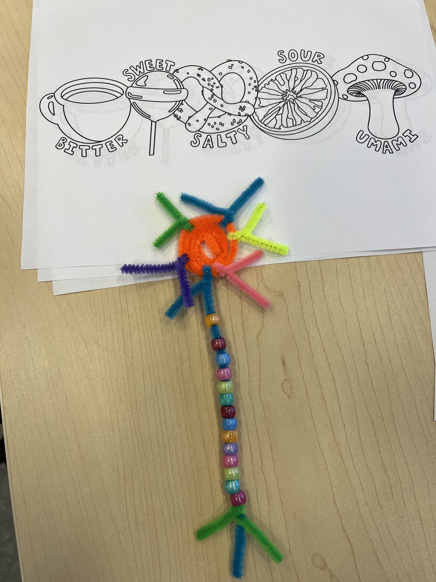 Stony Brook Department of Neurobiology & Behavior tweet media