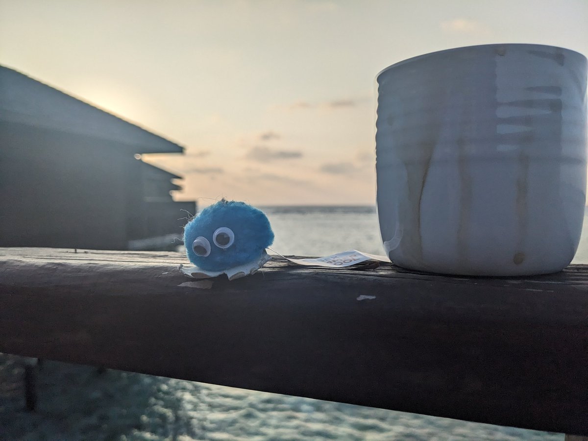 Essie enjoying coffee at sunrise in the Maldives. Sign up for the @EssexSumSchool so you can have a similar experience this summer!! essexsummerschool.com #ESS2024 #EssieInParadise