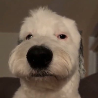 _JustALizard_'s tweet image. #WhoKnows