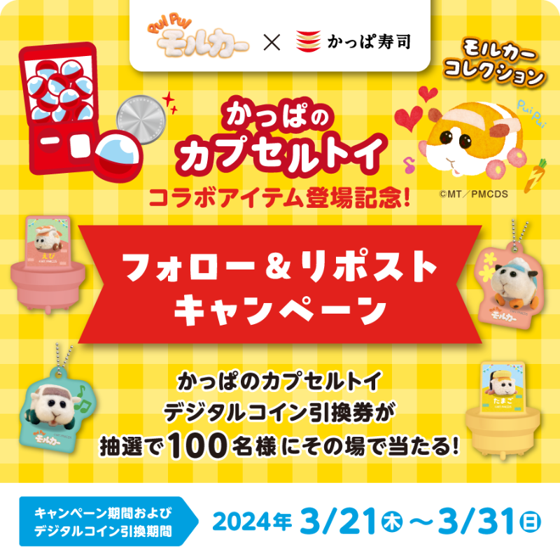 kappasushi_jp's tweet photo. ／
＃PUIPUIモルカー
＃コラボスタート！
＼

#かっぱのカプセルトイ
モルカーコラボ記念として【デジタルカプセルトイコイン引換券】を抽選で100名様にプレゼント👍お店でモルカーコレクションと交換しよう✨✨

1️⃣ @kappasushi_jp フォロー
2️⃣この投稿をリポスト
3️⃣その場で当たる

#PUIPUIモルカー