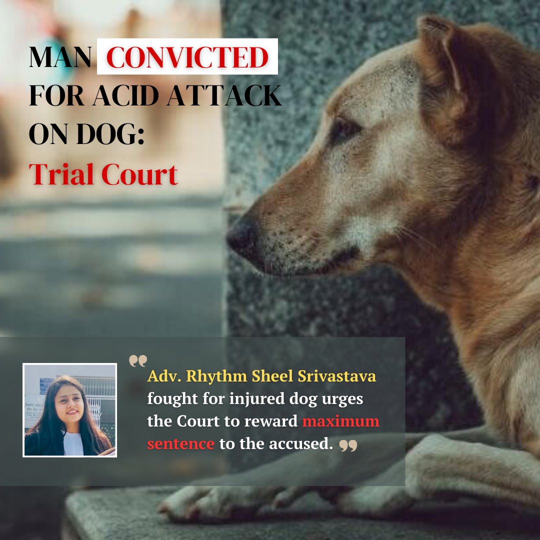 First time ever , Conviction in animal cruelty case 🐾😇
#legal  #laws  #advocate  #lawyer #GoodNewsSaShowtime #trending2024 #landmarkjudgement @Advocate_Rhythm @TOIIndiaNews @TheJohnAbraham @TwitterFaith @Dept_of_AHD