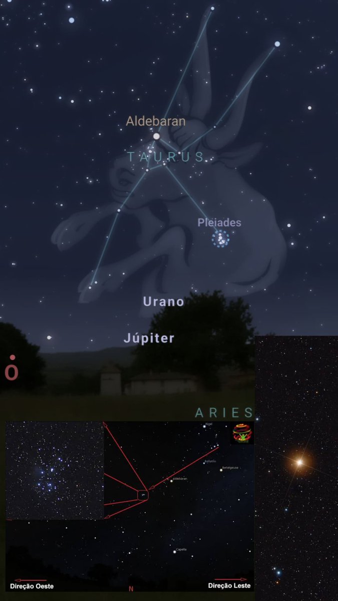 Grupo de astronomia da UFMG apresenta:
✨ Efemérides do dia 20/03/24 ✨
A estrela Aldebaran, da constelação de Taurus está logo acima das Plêiades um aglomerado estelar que está deixando o céu espetacular! E logo abaixo, Júpiter e Urano em sua incrível conjunção. 🌌
