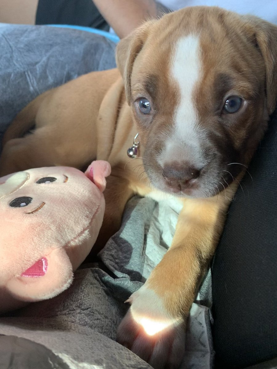 maadisonnw's tweet photo. The amount her eyes have changed 😳 https://t.co/IIYhRFiP71