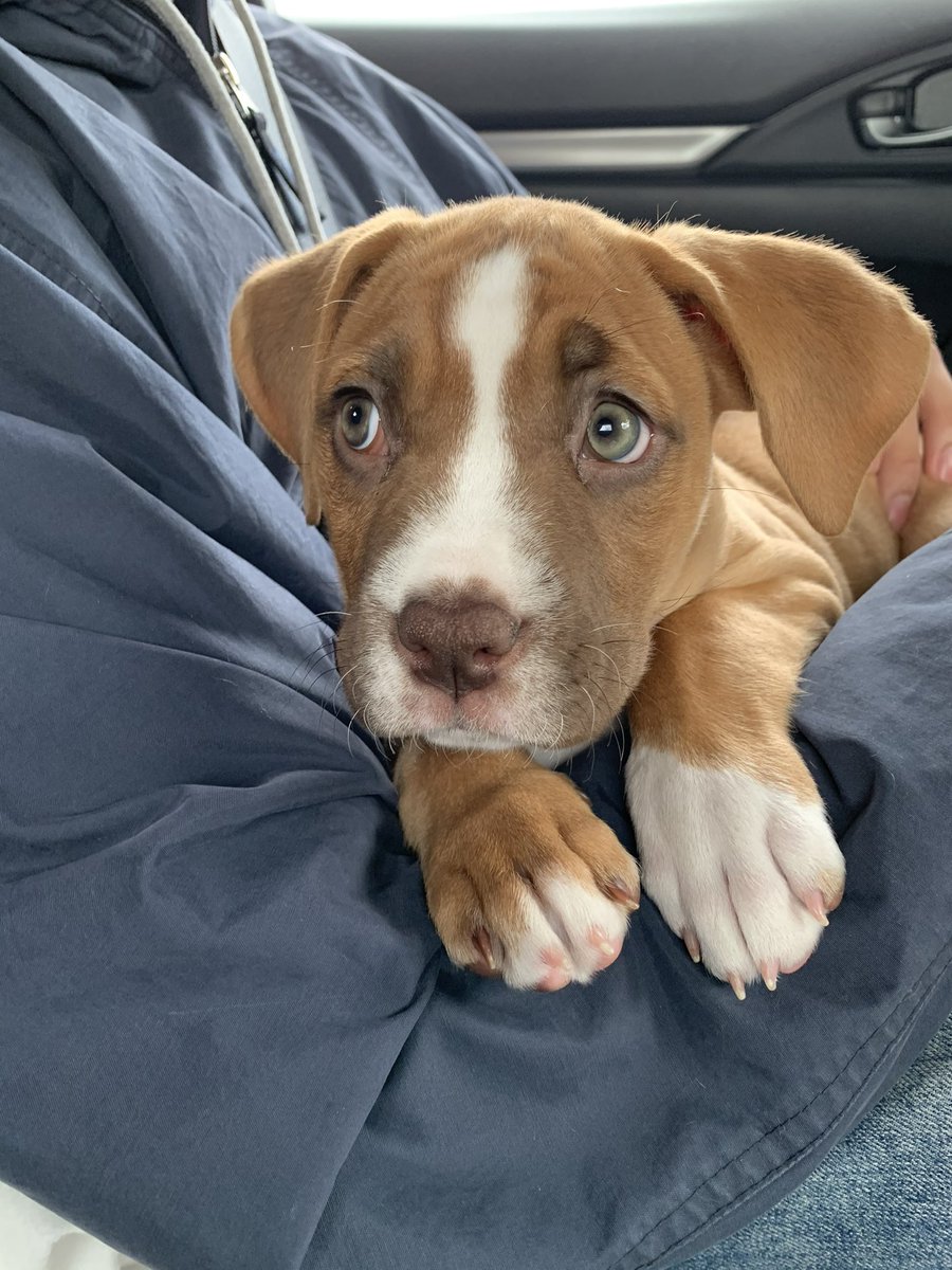 maadisonnw's tweet photo. The amount her eyes have changed 😳 https://t.co/IIYhRFiP71