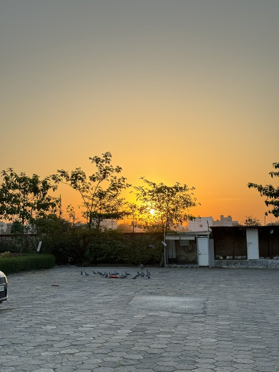 ansul_rathod's tweet image. Another morning, another morning run conquered! 
Feeling the burn and the satisfaction of pushing myself further. Bring on the day! 💪🏃‍♂️ #MorningRun #TempoRun #FitnessGoals