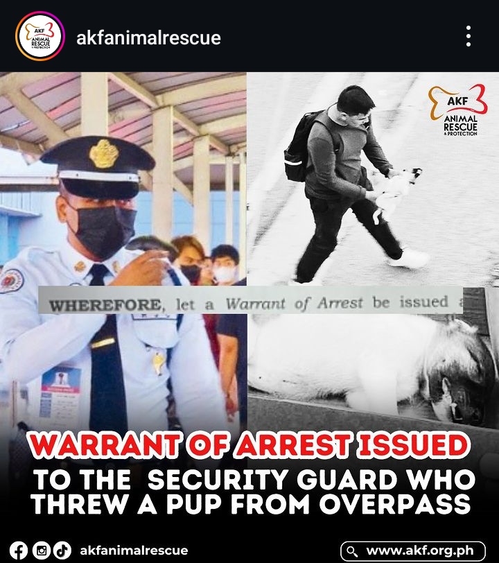 yuleyanne's tweet photo. Animal kingdom foundation is seeking help! Remember the guard who threw a puppy off the walk bridge? Hindi alam kung nasan siya &amp; if anyone knows his whereabouts please do report them to @AKFanimalrescue 

#JusticeForErika
#JusticeForKillua
#StopAnimalCruelty
#EndAnimalCruelty https://t.co/mquj4YgE9v