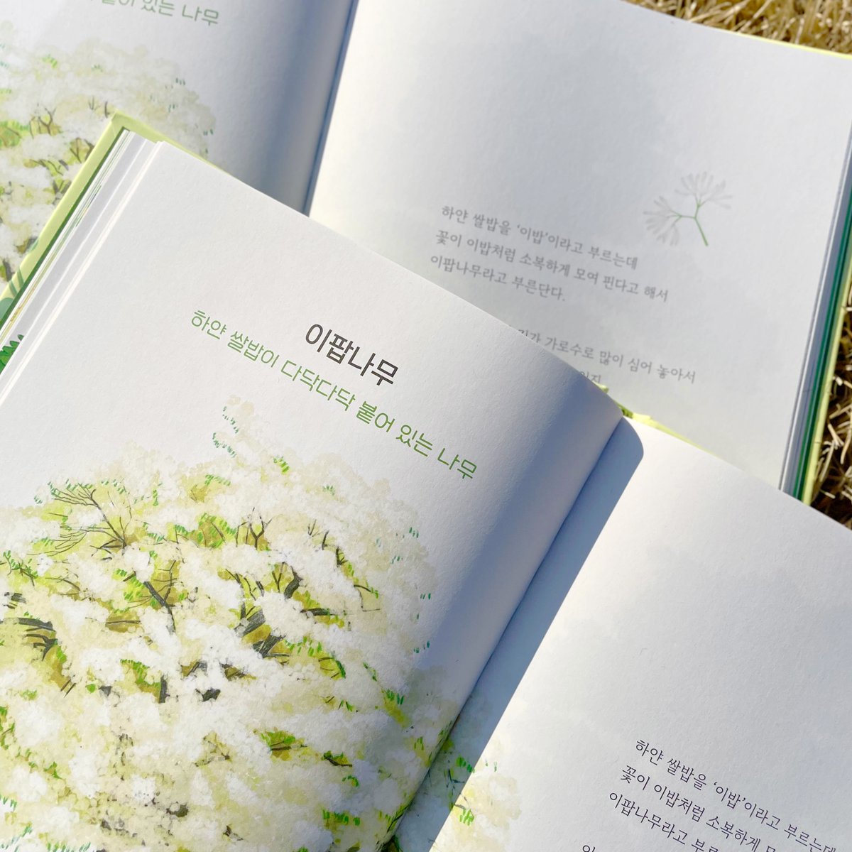 다산북스 tweet media