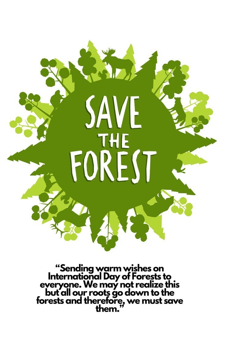 #આંતરાષ્ટ્રીય_વન_દિવસ નિમિત્તે આપ સૌને પોતાની આસપાસ એક નાનું જંગલ (બગીચો) બનાવવા વિનંતિ કરું છું. #21March
🌱🌴🌱🌴🪴🌳🪴🌳🍃🍁🍃🍁🍂🌿🍂🌿
#InternationalDayofForests 
#ForestDay
