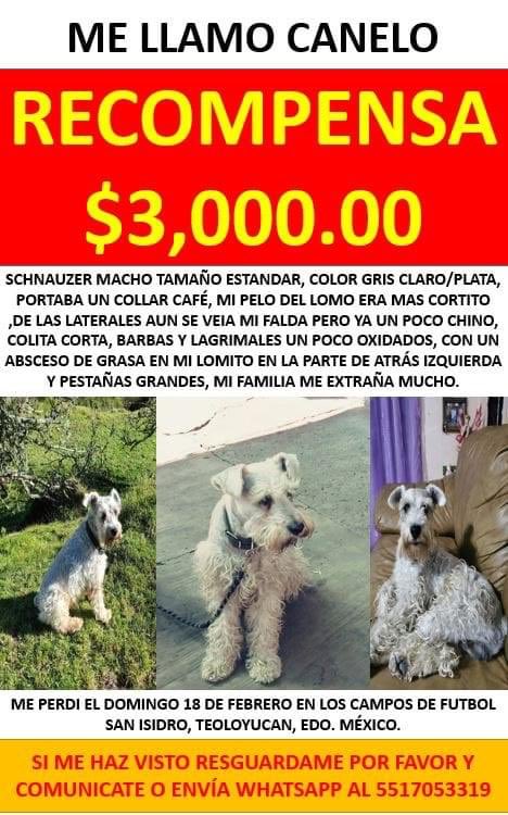 Chema Rojo tweet media