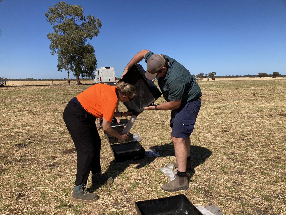 Amy Williams tweet media