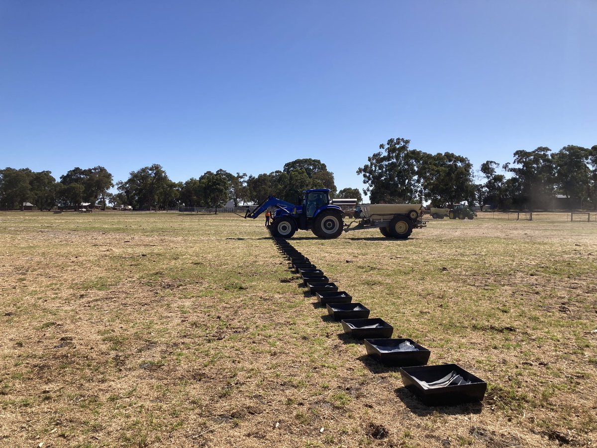 Amy Williams tweet media