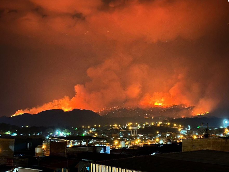 Donde están las hijas del bosque? O los que hablan con el rio y el zorzalillo?  

Y a los defensores de la Madre Naturaleza, acaso la Tigra les vale madre?