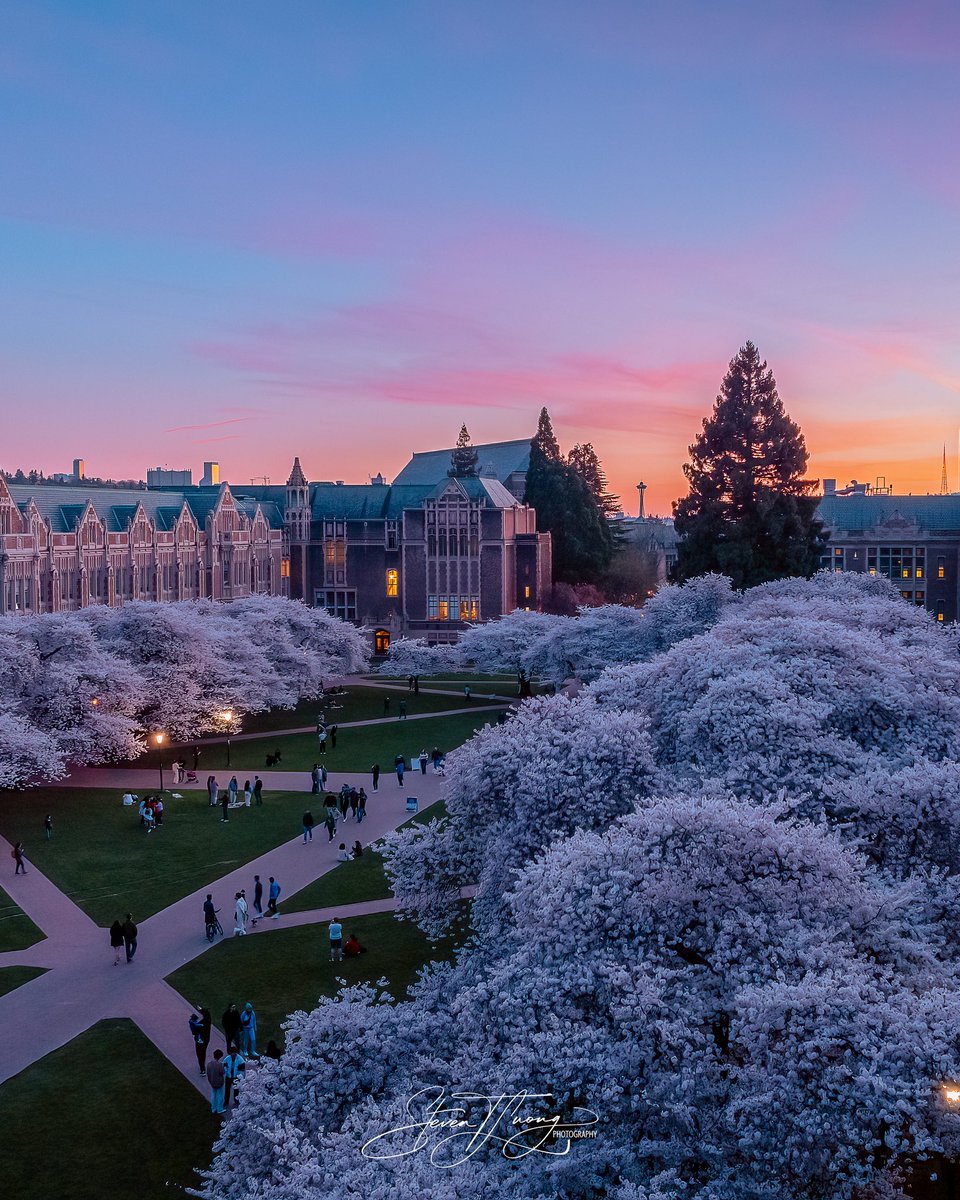 Steven.T.Luong tweet media