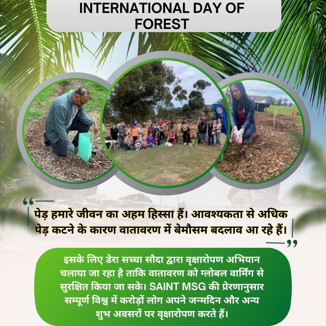 shivisingla1's tweet photo. पृथ्वी पर जीवन चक्र को संतुलन करने में वनों का अहम योगदान है हर साल 21 मार्च को
#InternationalDayOfForest मनाया जाता है।आइए हम भी Saint MSG Insan के अनुयायियों की तरह #WorldForestDay 
पर ज्यादा से ज्यादा पेड़ पौधे लगाने का संकल्प ले स्वच्छ भारत  निर्माण में अपना योगदान दे। https://t.co/LH6Fzt9Iqk