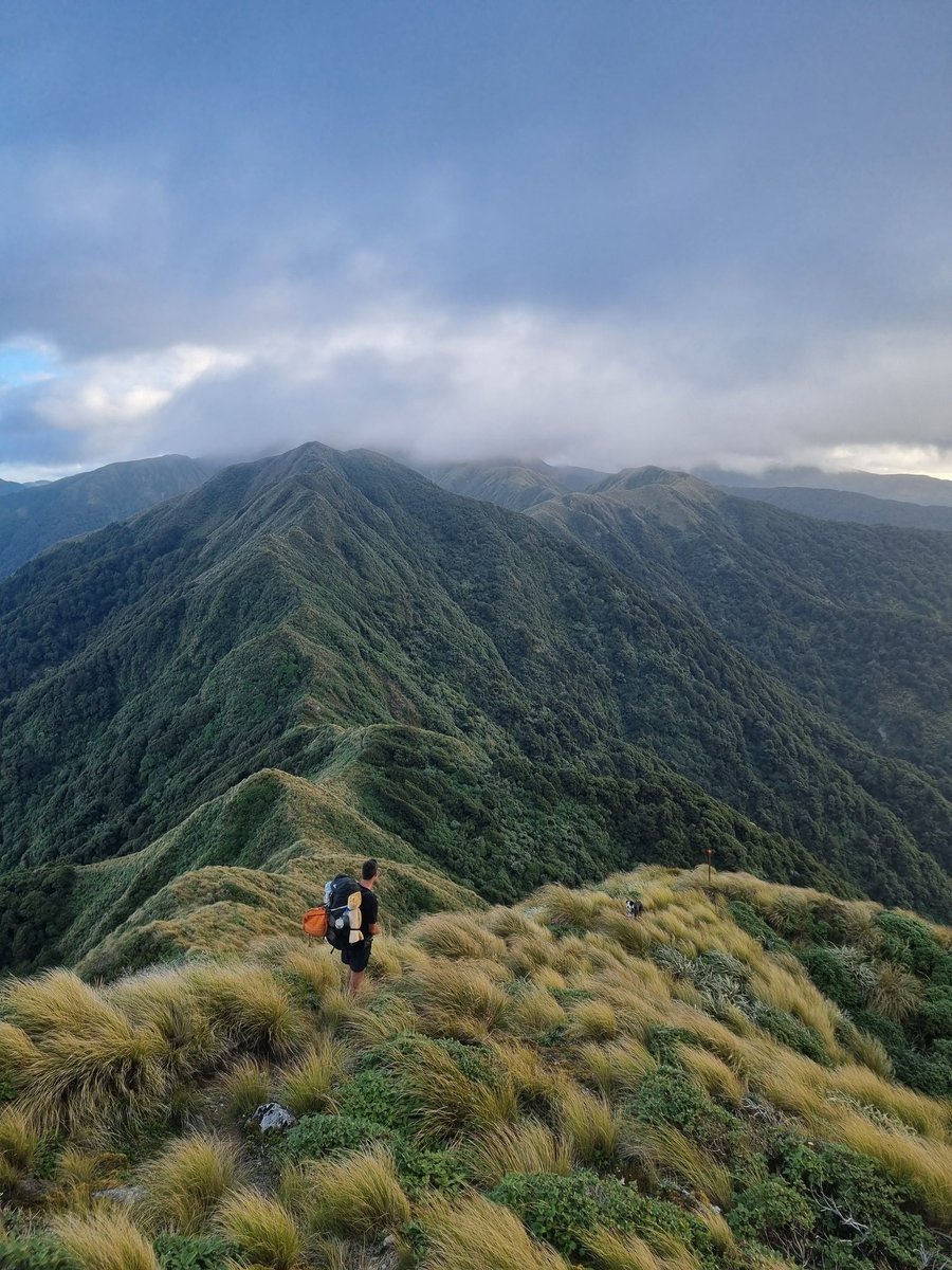 A long way away from politics. A brutal but beautiful tramp in the Tararuas.