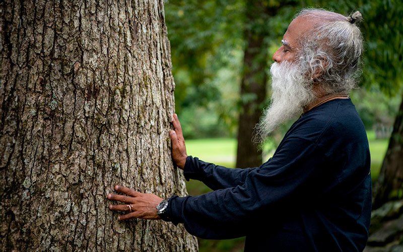 There is no substitute for Forests. These rich ecosystems have been thriving without our intervention for millions of years. It is time we stop exploiting them. #InternationalDayofForests #SadhguruQuotes