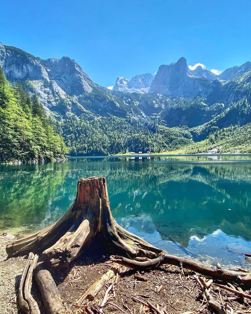 𒈙 Jack 𒈙 tweet media