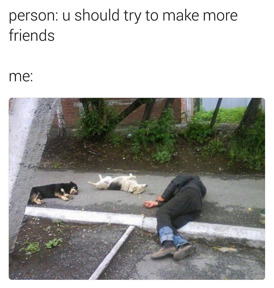 I feel attacked #PilotLife #DogLover